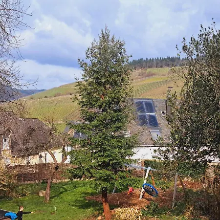 Haus Moselwald - 3 Bedrooms Feriehus