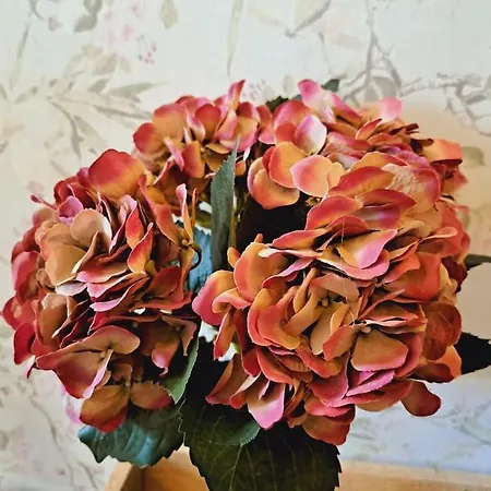 Dom wakacyjny Haus Moselwald - 3 Bedrooms