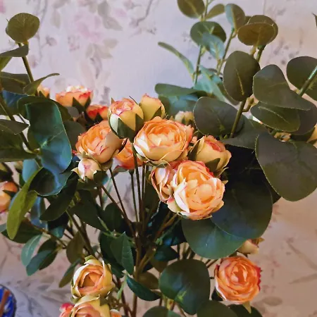 Haus Moselwald - 3 Bedrooms 恩克里克