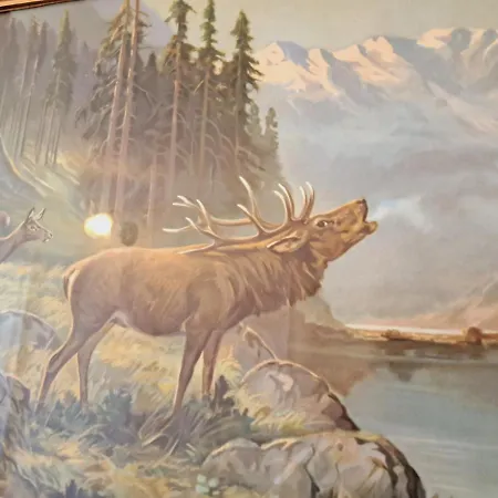 Haus Moselwald - 3 Bedrooms Dom wakacyjny *