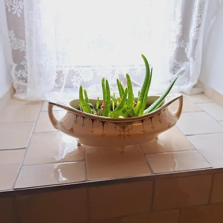 Dom wakacyjny Haus Moselwald - 3 Bedrooms