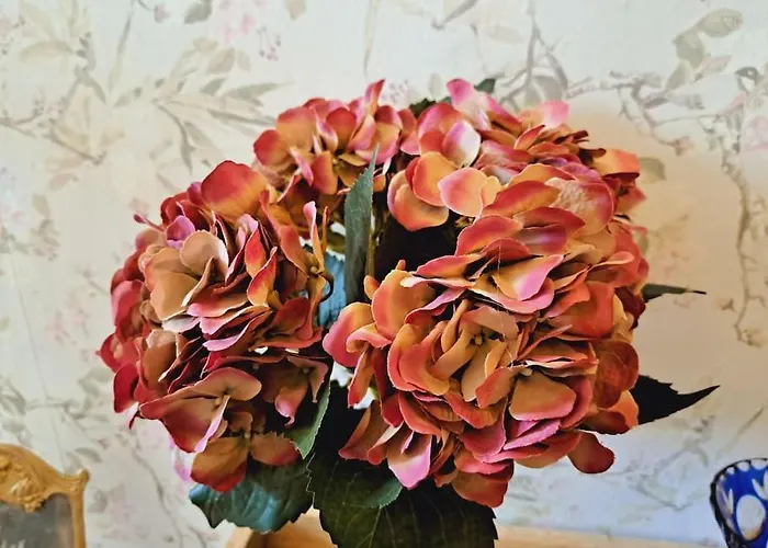 別荘 Haus Moselwald - 3 Bedrooms