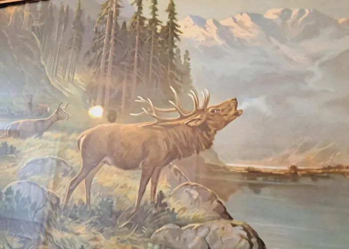 Haus Moselwald - 3 Bedrooms 別荘 *