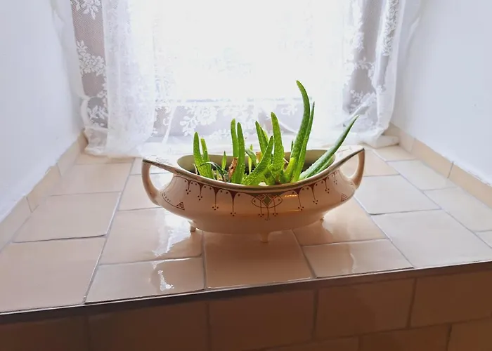 別荘 Haus Moselwald - 3 Bedrooms